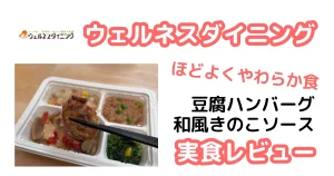 ウェルネスダイニングの豆腐ハンバーグ和風きのこソース実食レポ